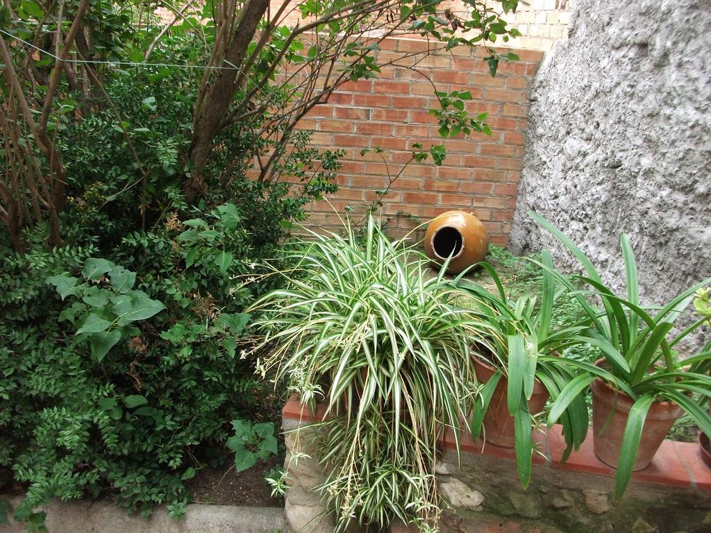 Ca La Paula Villa Pla del Panades Ngoại thất bức ảnh